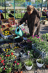 ����������, �������