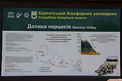 ������ ���������, �������