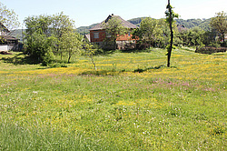 ����������, �������