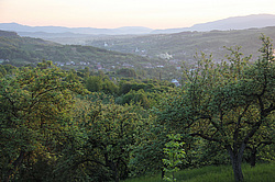 ����������, �������