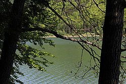 ����������, �������