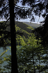 ����������, �������