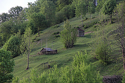 ����������, �������