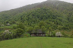 ����������, �������