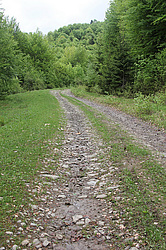 ����������, �������