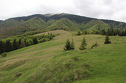 ����������, �������