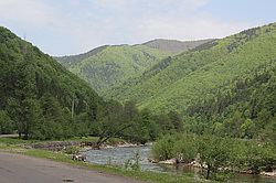 ����������, �������