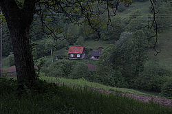 ����������, �������