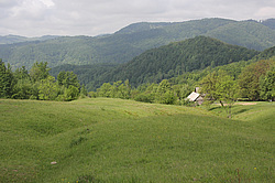 ����������, �������