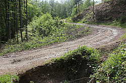 ����������, �������