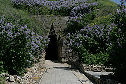 ������� ������, �����, ����