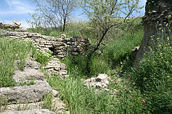 ������ �� ����� � ��� �� ��������� �����������, ����