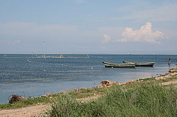 ������ �� ����� � ��� �� ��������� �����������, ����