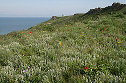 ������ �� ����� � ��� �� ��������� �����������, ����