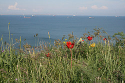 ������ �� ����� � ��� �� ��������� �����������, ����