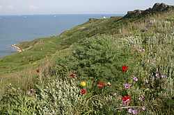 ������ �� ����� � ��� �� ��������� �����������, ����