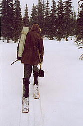 ���������� �������, �����