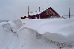 ���������� �������, �����