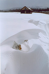 ���������� �������, �����