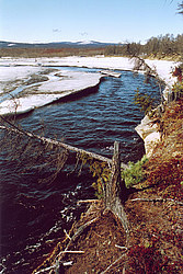 ���������� �������, �����