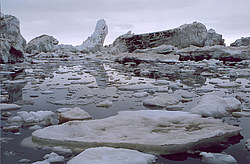 ���������� �������, �����