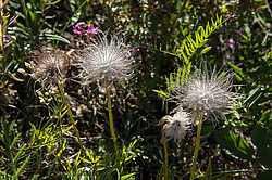 ������. ���� ����. ������� ���������.