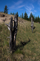 ������. ���� ����. ������� ���������.