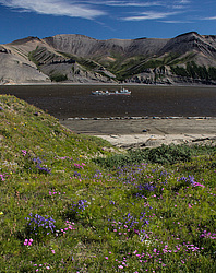 ������. ���� ����. ������� ���������.