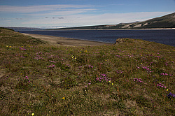 ������. ���� ����. ������� ���������.