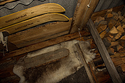 ������. ���� ����. ������� ���������.