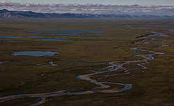 ������. ������ �����-��� � ������������ � ���������. ���� ����, ���� ��������.