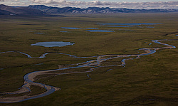 ������. ������ �����-��� � ������������ � ���������. ���� ����, ���� ��������.