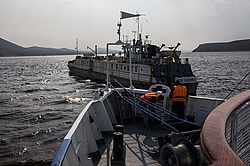 ������. ���� ����. �������� ��������. ������������.