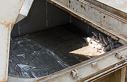 ������. ���� ����. �������� ��������. ������������.