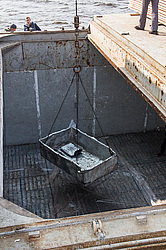 ������. ���� ����. �������� ��������. ������������.