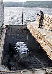 ������. ���� ����. �������� ��������. ������������.