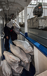 ������. ���� ����. �������� ��������. ������������.