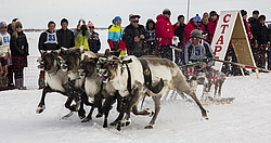 ����. �������� ��������� � �������.����� �� ������� ��������.