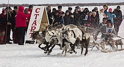 ����. �������� ��������� � �������.����� �� ������� ��������.