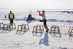  ������ ����� ����� - ���������� ���������� �� ��������� ��������� � ���������, ���� 2016