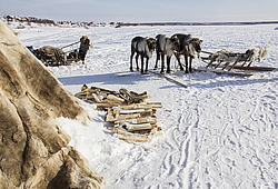  �������� ��������� � ���������