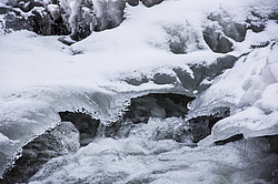  �������, �������� ������, ���������� ������, ���� �������