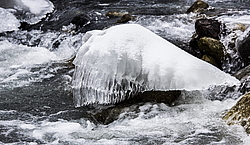  �������, �������� ������, ���������� ������, ���� �������