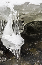  �������, �������� ������, ���������� ������, ���� �������