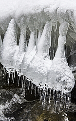  �������, �������� ������, ���������� ������, ���� �������