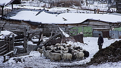  �������, �������� ������, ���������� ������, ���� �������