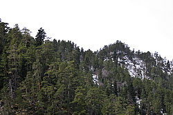 ���������-�����c��, �������, ������� ���������