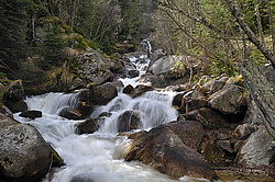 ������, ���������-��������