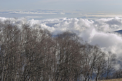 ������, ���������-��������