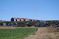 ����-������, ������������ �������